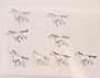 091002_1328~01-thumbnail2.jpg